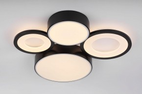 Потолочная люстра Rivoli Aliona Б0066451 в Ишиме - ishim.ok-mebel.com | фото 8