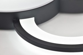 Потолочная люстра Rivoli Aliona Б0066452 в Ишиме - ishim.ok-mebel.com | фото 10