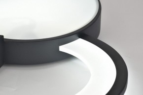 Потолочная люстра Rivoli Aliona Б0066452 в Ишиме - ishim.ok-mebel.com | фото 11
