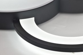 Потолочная люстра Rivoli Aliona Б0066452 в Ишиме - ishim.ok-mebel.com | фото 12