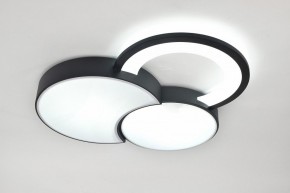 Потолочная люстра Rivoli Aliona Б0066452 в Ишиме - ishim.ok-mebel.com | фото 8