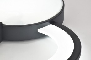 Потолочная люстра Rivoli Aliona Б0066452 в Ишиме - ishim.ok-mebel.com | фото 9