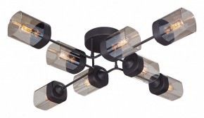 Потолочная люстра Vitaluce 4889 V4889-1/8PL в Ишиме - ishim.ok-mebel.com | фото
