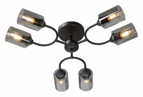 Потолочная люстра Vitaluce V2823 V2823-1/6PL в Ишиме - ishim.ok-mebel.com | фото 2