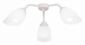 Потолочная люстра Vitaluce V31950 V31950/3PL в Ишиме - ishim.ok-mebel.com | фото