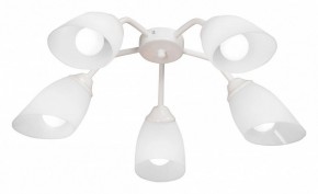 Потолочная люстра Vitaluce V31950 V31950/5PL в Ишиме - ishim.ok-mebel.com | фото
