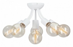 Потолочная люстра Vitaluce V3927 V3927-0/6PL в Ишиме - ishim.ok-mebel.com | фото