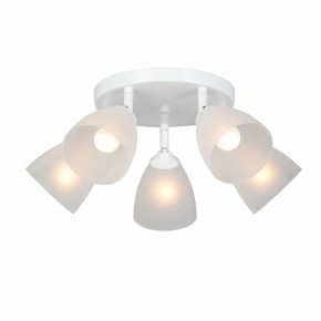 Потолочная люстра Vitaluce V4355 V4355-0/5PL в Ишиме - ishim.ok-mebel.com | фото 2