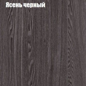 Прихожая ДИАНА-4 сек №10 (Ясень анкор/Дуб эльза) в Ишиме - ishim.ok-mebel.com | фото 3