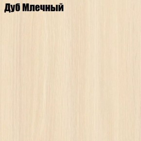 Прихожая Элегант-2 (полный к-кт фур-ры) в Ишиме - ishim.ok-mebel.com | фото 4