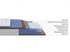 PROxSON Матрас Active Duo M/F (Ткань Трикотаж Эко) 180x200 в Ишиме - ishim.ok-mebel.com | фото 2
