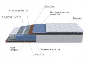 PROxSON Матрас Active Duo M/F (Ткань Трикотаж Эко) 120x200 в Ишиме - ishim.ok-mebel.com | фото 7