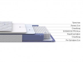 PROxSON Матрас Active Duo S/F (Ткань Трикотаж Эко) 180x195 в Ишиме - ishim.ok-mebel.com | фото 2