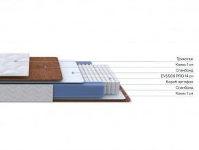 PROxSON Матрас Active F Roll (Ткань Трикотаж Эко) 80x195 в Ишиме - ishim.ok-mebel.com | фото 2