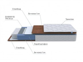 PROxSON Матрас Active F Roll (Ткань Трикотаж Эко) 160x195 в Ишиме - ishim.ok-mebel.com | фото 11