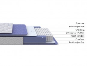 PROxSON Матрас Active F (Ткань Трикотаж Эко) 160x195 в Ишиме - ishim.ok-mebel.com | фото 2