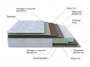 PROxSON Матрас Green M (Tricotage Dream) 120x210 в Ишиме - ishim.ok-mebel.com | фото 7