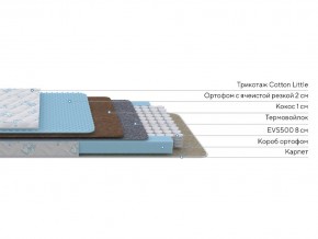 PROxSON Матрас Совенок (Cotton Little PROSON) 120x120 в Ишиме - ishim.ok-mebel.com | фото 2