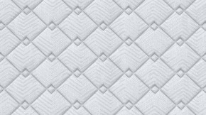 PROxSON Матрас Standart Plus M (Ткань Жаккард) 120x190 в Ишиме - ishim.ok-mebel.com | фото 9