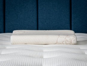 PROxSON Подушка Кроха (Ткань Трикотаж) 39x24 в Ишиме - ishim.ok-mebel.com | фото 6
