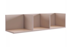 РИЧ Полка навесная 2 (кашемир) в Ишиме - ishim.ok-mebel.com | фото
