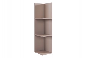 РИЧ Полка навесная 2 (кашемир) в Ишиме - ishim.ok-mebel.com | фото 4