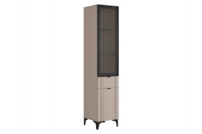 РИЧ Шкаф однодверный со стеклом в Ишиме - ishim.ok-mebel.com | фото