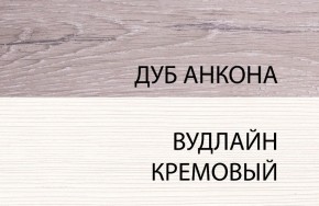 Шкаф 1DZ, OLIVIA, цвет вудлайн крем/дуб анкона в Ишиме - ishim.ok-mebel.com | фото 3