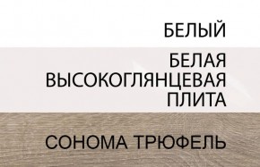 Шкаф 2D/TYP 20A, LINATE ,цвет белый/сонома трюфель в Ишиме - ishim.ok-mebel.com | фото 4