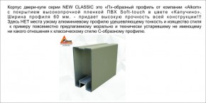 Шкаф-купе 1500 серии NEW CLASSIC K3+K3+B2+PL1 (2 ящика+1 штанга) профиль «Капучино» в Ишиме - ishim.ok-mebel.com | фото 5