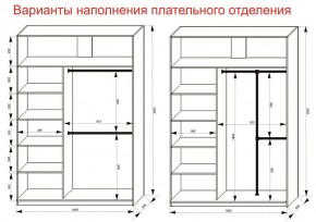 Шкаф-купе 1600 серии SOFT D6+D4+B2+PL2 (2 ящика+1штанга+1 полка) профиль «Капучино» в Ишиме - ishim.ok-mebel.com | фото 9