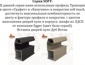 Шкаф-купе 1800 серии SOFT D1+D3+B2+PL1 (2 ящика+1штанга) профиль «Графит» в Ишиме - ishim.ok-mebel.com | фото 11