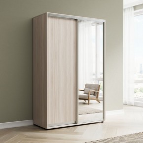 Шкаф-купе Акцент-Сим ДЗ 1000-600 в Ишиме - ishim.ok-mebel.com | фото 6