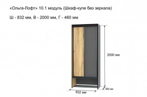 Шкаф купе без зеркала "Ольга-Лофт 10.1" в Ишиме - ishim.ok-mebel.com | фото 3