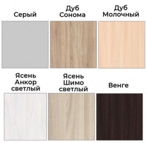 Шкаф-купе ХИТ 22-4-12/2-77 (420) в Ишиме - ishim.ok-mebel.com | фото 3