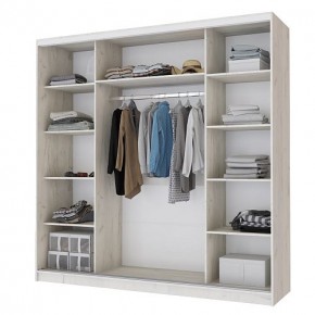 Шкаф-купе Неаполь 2.2 без зеркал в Ишиме - ishim.ok-mebel.com | фото 2