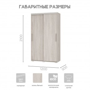 Шкаф-купе ШКК-11 (ясень белый) в Ишиме - ishim.ok-mebel.com | фото 7