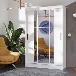 Шкаф-купе Тайм ШКК-03 (белый) в Ишиме - ishim.ok-mebel.com | фото