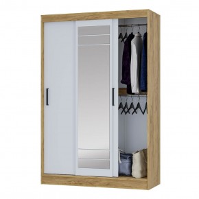 Шкаф-купе Тео ШКК-02 (крафт/белый) в Ишиме - ishim.ok-mebel.com | фото 3