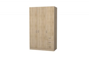 Шкаф Лофт 3-х створчатый в Ишиме - ishim.ok-mebel.com | фото 2