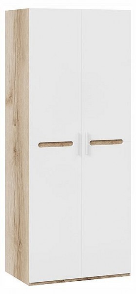 Шкаф платяной Фьюжн ТД-260.07.02 в Ишиме - ishim.ok-mebel.com | фото