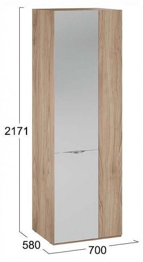 Шкаф платяной Глосс СМ-319.07.007 в Ишиме - ishim.ok-mebel.com | фото 4