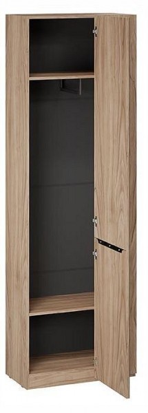 Шкаф платяной Глосс СМ-319.07.016 в Ишиме - ishim.ok-mebel.com | фото 3