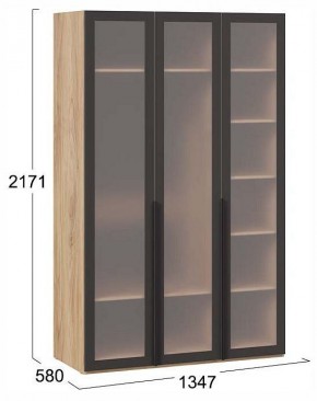 Шкаф платяной Порто СМ-393.07.117 в Ишиме - ishim.ok-mebel.com | фото 4