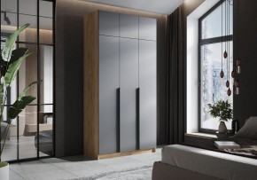 Шкаф платяной Широн в Ишиме - ishim.ok-mebel.com | фото 4