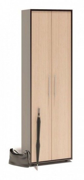 Шкаф платяной ШО-1 в Ишиме - ishim.ok-mebel.com | фото