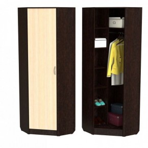Шкаф платяной ШП-10 в Ишиме - ishim.ok-mebel.com | фото 2