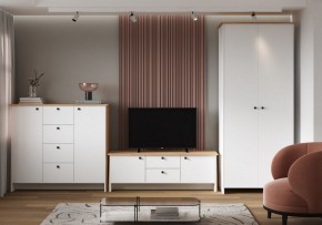 Шкаф платяной Теодора в Ишиме - ishim.ok-mebel.com | фото 4