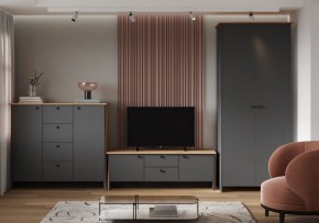 Шкаф платяной Теодора в Ишиме - ishim.ok-mebel.com | фото 3