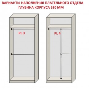 Шкаф распашной серия «ЗЕВС» (PL3/С1/PL2) в Ишиме - ishim.ok-mebel.com | фото 10